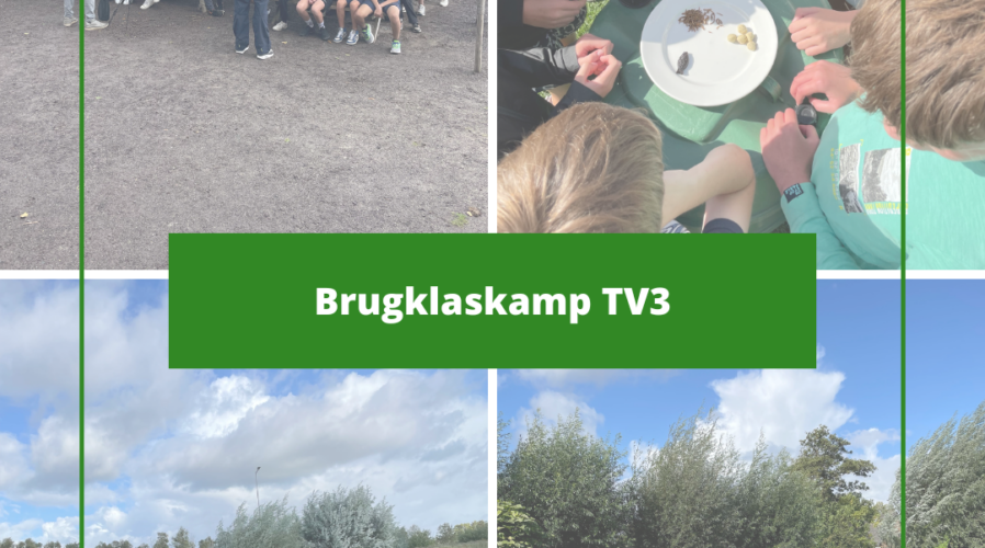 Brugklaskamp TV3