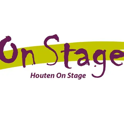 Beroepenfeest Houten on Stage